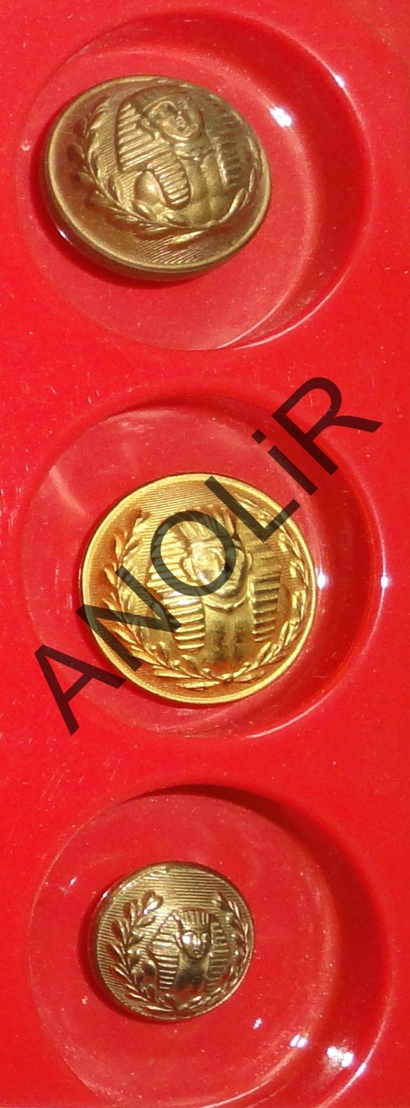 1874: Boutons d'interprète